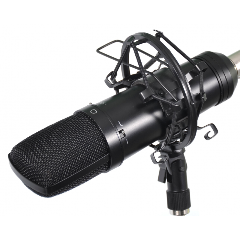Microphone à condensateur à main filaire LBB9600/20 BOSCH