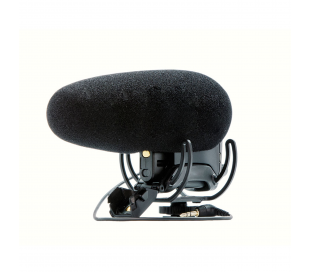 Microphone mini