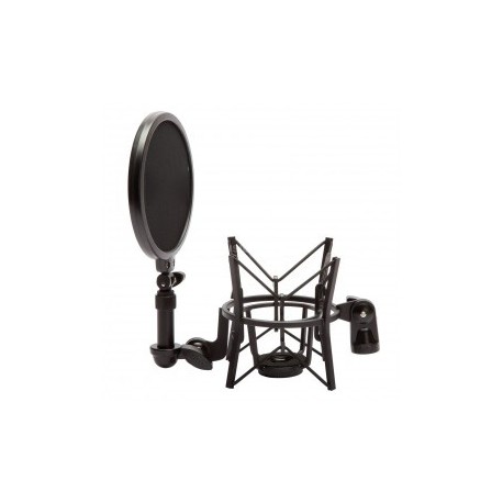 SM6 Shock Mount with Detachable Pop Filter