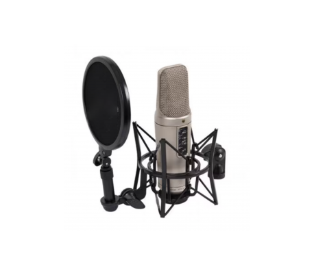 microphone-rode-nt2-a.jpg