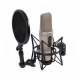 Microphone professionnel