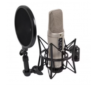 Microphone professionnel