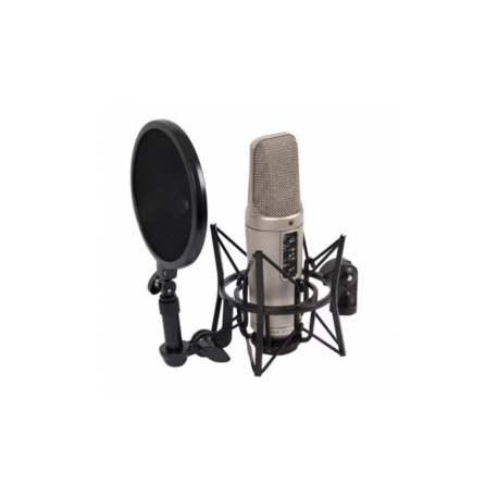 Microphone professionnel